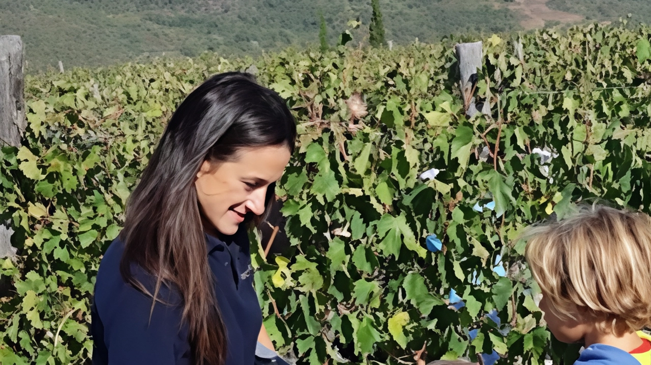 La Fraternita dei Laici organizza la "Vendemmia e il Pranzo Contadino" presso l'Agriturismo "La Concezione" a Castiglion Fibocchi il 28 settembre. Un'occasione unica per partecipare attivamente alla vendemmia, imparare i segreti della produzione del vino e gustare prodotti tradizionali aretini. Posti limitati, prenotazioni al 347 6209006. La Fraternita dei Laici organizza la "Vendemmia e il Pranzo Contadino" presso l'Agriturismo "La Concezione" a Castiglion Fibocchi il 28 settembre. Un'occasione unica per partecipare attivamente alla vendemmia, imparare i segreti della produzione del vino e gustare prodotti tradizionali aretini. Posti limitati, prenotazioni al 347 6209006.