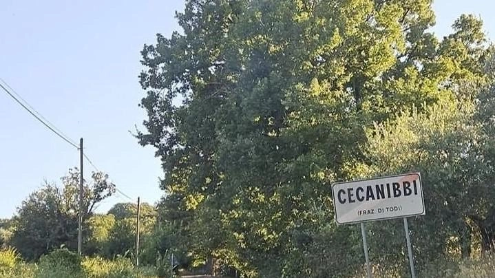 Complicato il passaggio di due macchine nello stesso momento, praticamente impossibile quello di due autobus o di mezzi pesanti. Disagi per gli automobilisti Complicato il passaggio di due macchine nello stesso momento, praticamente impossibile quello di due autobus o di mezzi pesanti. Disagi per gli automobilisti