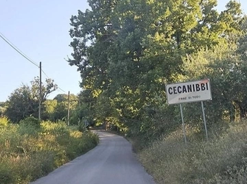 immagine articolo