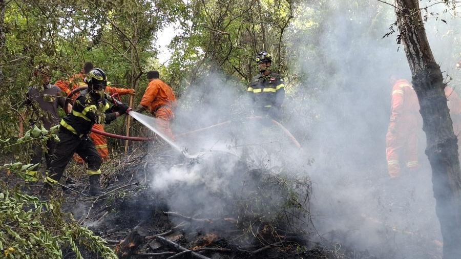 Greve in Chianti, fiamme nel bosco al confine con l’ex cementificio