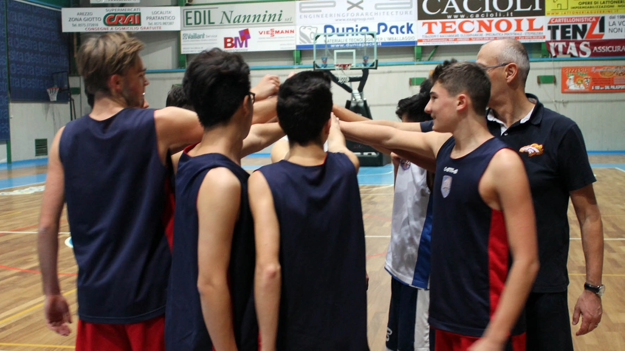 basket basket