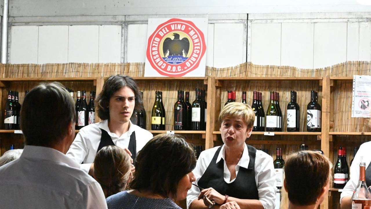 Il Salotto del Vino e del Verde a Montecarlo celebra la cucina e il vino locali, con una cena dedicata a Giacomo Puccini e spettacoli musicali. Eventi collaterali includono concerti, spettacoli per bambini e una mostra d'arte. La manifestazione attira circa 50mila visitatori ogni anno. Il Salotto del Vino e del Verde a Montecarlo celebra la cucina e il vino locali, con una cena dedicata a Giacomo Puccini e spettacoli musicali. Eventi collaterali includono concerti, spettacoli per bambini e una mostra d'arte. La manifestazione attira circa 50mila visitatori ogni anno.
