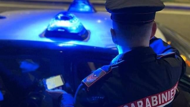 Indagano i carabinieri (Foto di repertorio)
