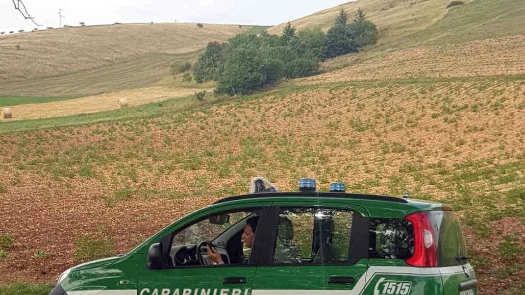 Le indagini sono state condotte dai carabinieri forestali di Cascia e coordinate dalla Procura della Repubblica di Spoleto Le indagini sono state condotte dai carabinieri forestali di Cascia e coordinate dalla Procura della Repubblica di Spoleto