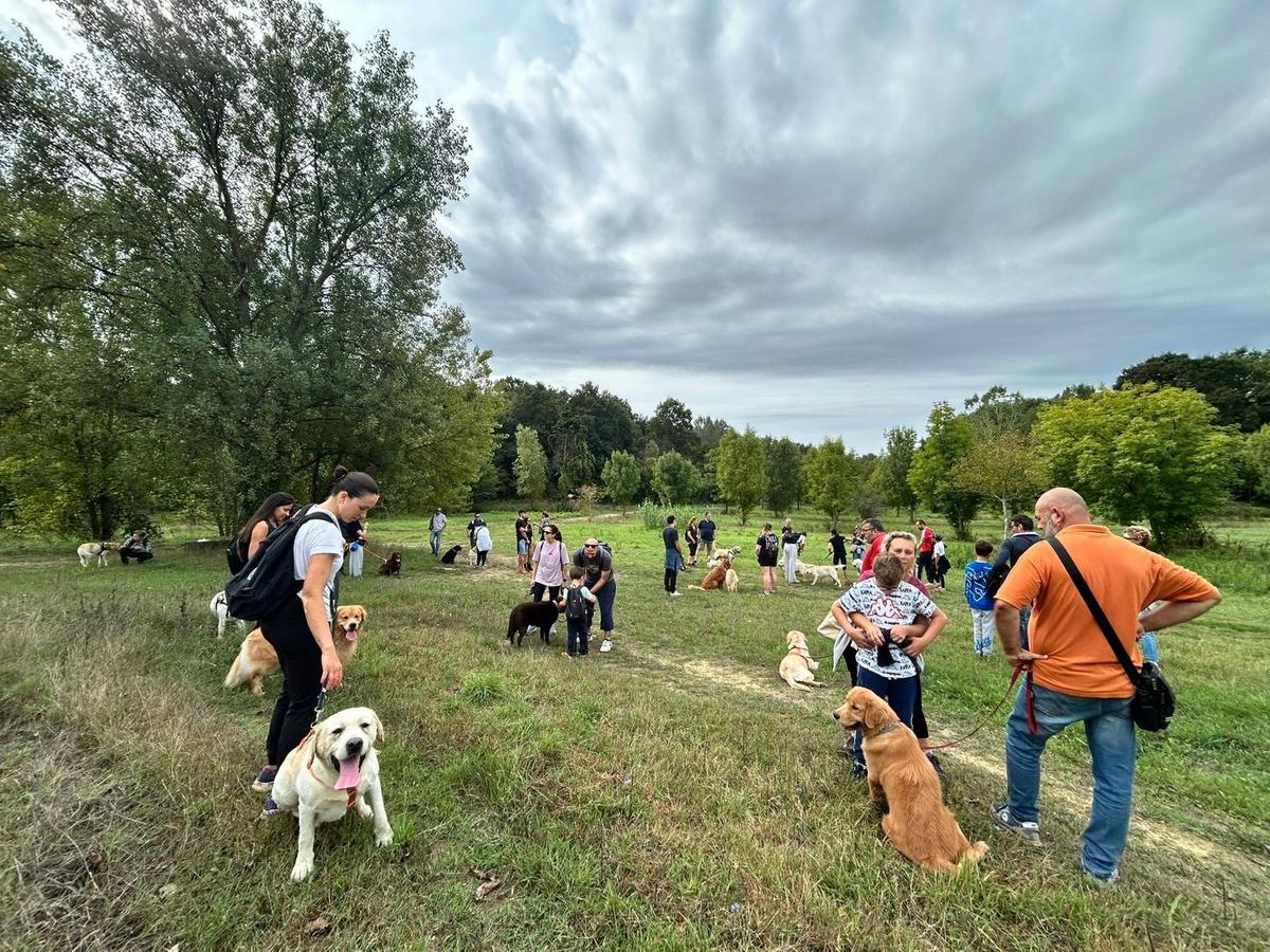 Un raduno da record al Boschetto Park