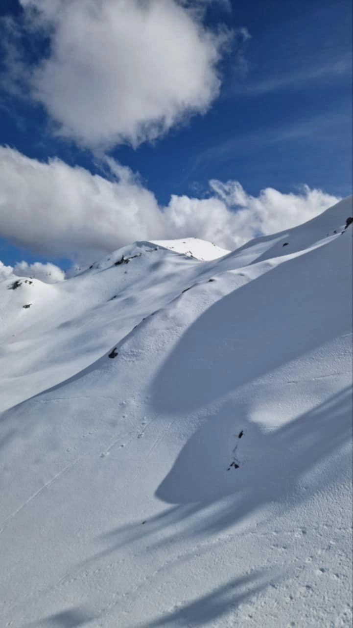 immagine di sfondo 1