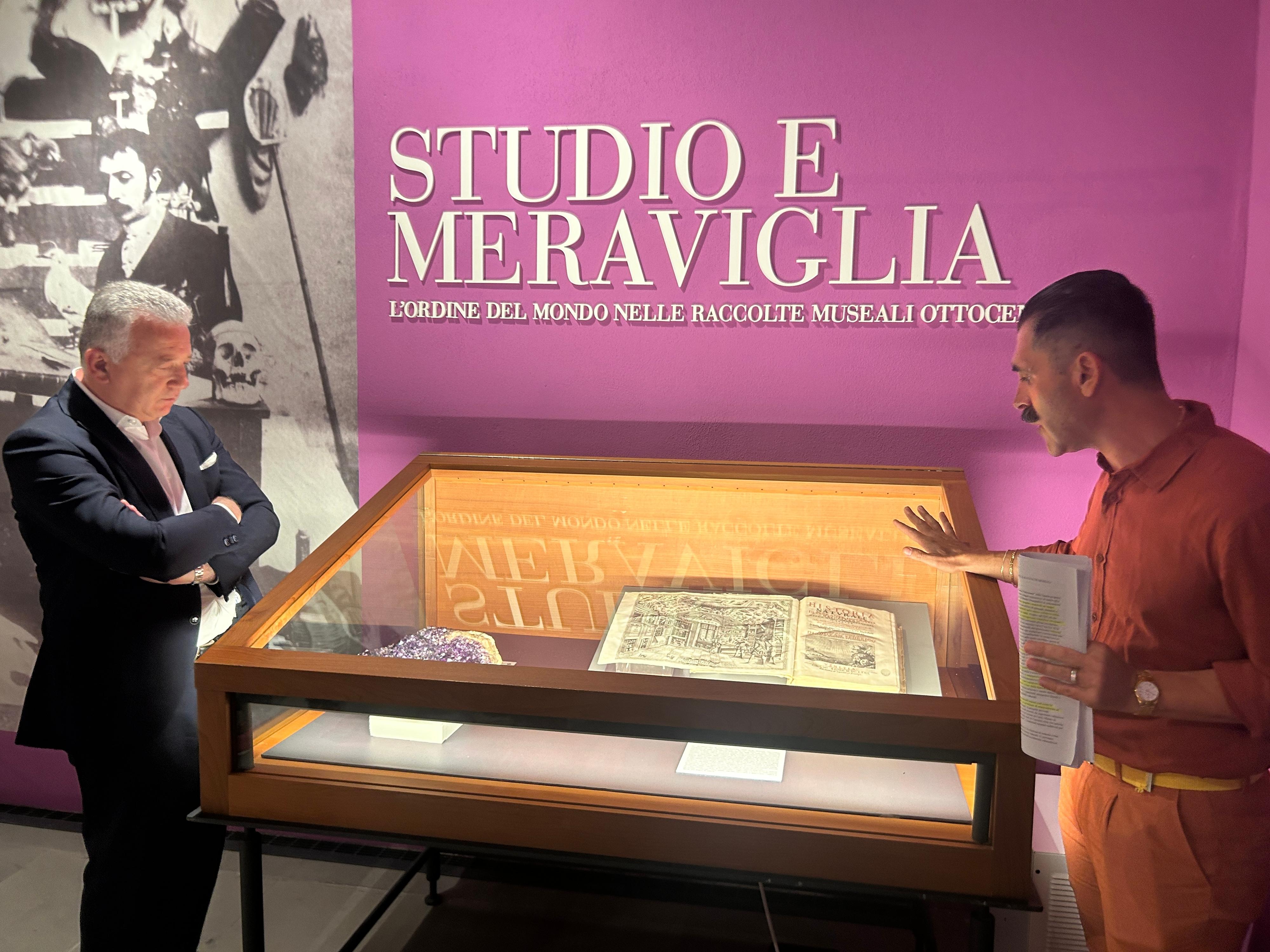  studio e meraviglia nell ottocento con la nuova mostra del museo etnografico