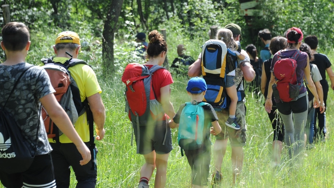 Un tuffo nelle piscine di Arezzo e provincia, oppure a tavola alle numerose sagre aperte in questi giorni come il Ferragosto Poggiolino di Le Poggiola a sxTrek e camminate nelle foreste del Casentino o fino alla croce del Pratomagno Un tuffo nelle piscine di Arezzo e provincia, oppure a tavola alle numerose sagre aperte in questi giorni come il Ferragosto Poggiolino di Le Poggiola a sxTrek e camminate nelle foreste del Casentino o fino alla croce del Pratomagno