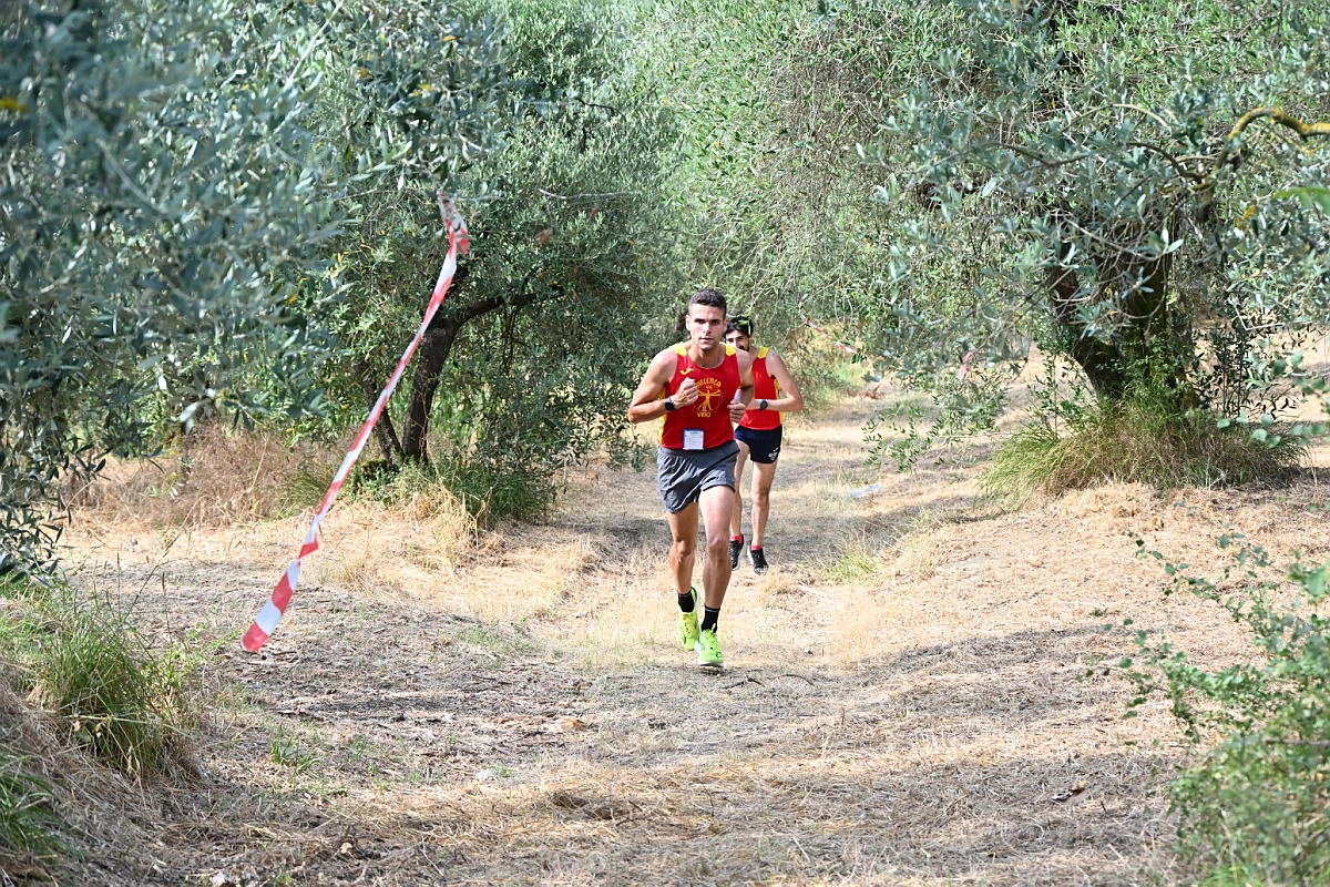 immagine di sfondo 33