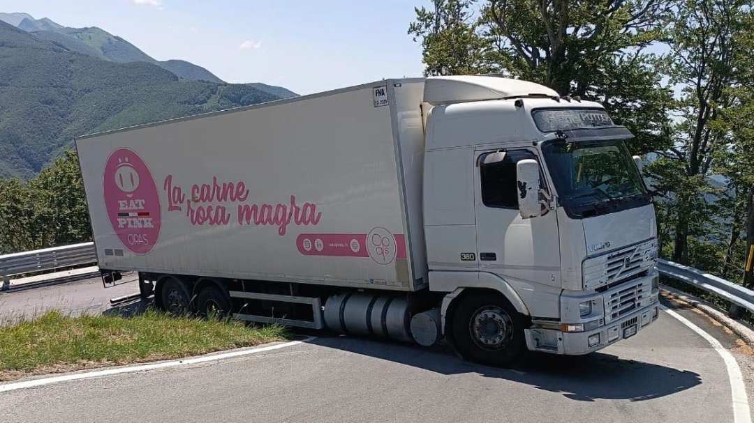 Il camion rimasto incastrato sul tornante: accade in Garfagnana, al passo del San Pellegrino Il camion rimasto incastrato sul tornante: accade in Garfagnana, al passo del San Pellegrino