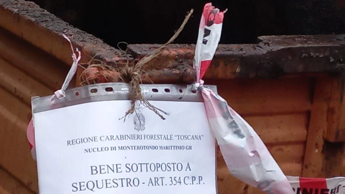 E’ stata intensa, nonostante i giorni dedicati alle festività natalizie, l’ attività dei Carabinieri forestali di Grosseto. Sono infatti molte... E’ stata intensa, nonostante i giorni dedicati alle festività natalizie, l’ attività dei Carabinieri forestali di Grosseto. Sono infatti molte...