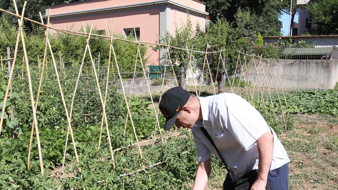 Villa Doney, bando per assegnare il giardino Villa Doney, bando per assegnare il giardino