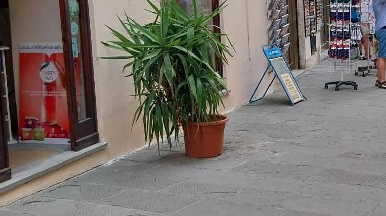 Porta via anelli e profumi. Denunciata Porta via anelli e profumi. Denunciata