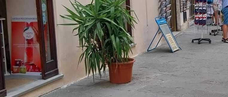 Porta via anelli e profumi. Denunciata