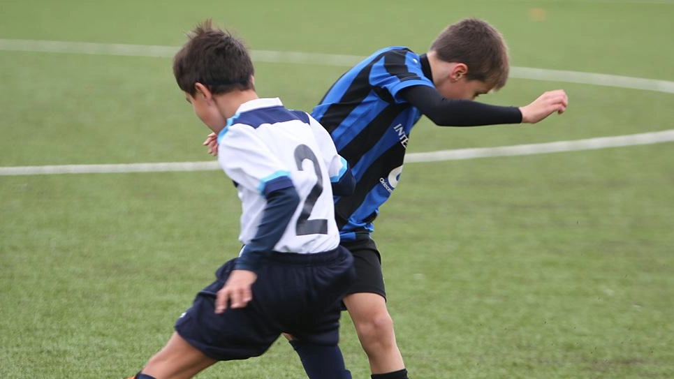 Il giovane arbitro picchiato selvaggiamente negli spogliatoi aveva diretto la finale di un torneo fra under 13 Il giovane arbitro picchiato selvaggiamente negli spogliatoi aveva diretto la finale di un torneo fra under 13