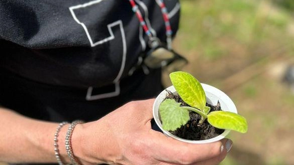 L’attività di ortoterapia svolta alla residenza per anziani di Aulla L’attività di ortoterapia svolta alla residenza per anziani di Aulla