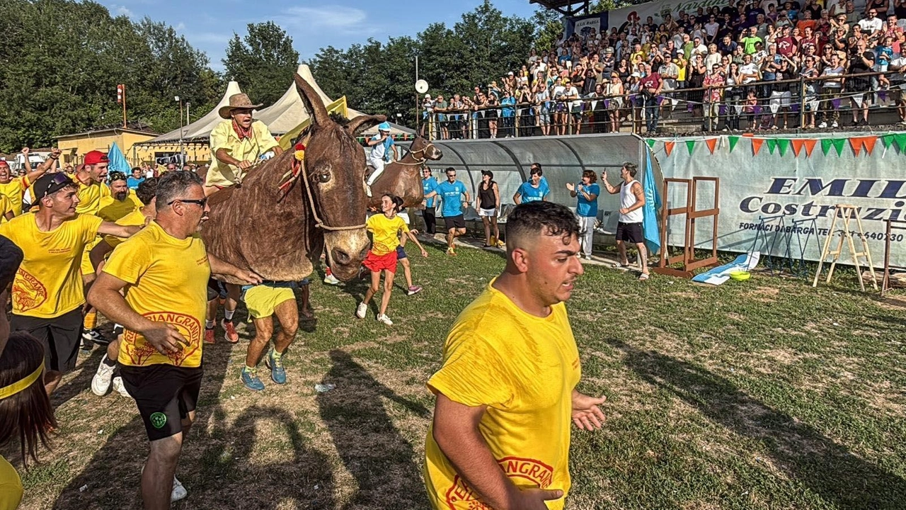 Grande entusiasmo a Barga alla Festa della Campagna e alla Corsa del Muletto foto Borghesi Grande entusiasmo a Barga alla Festa della Campagna e alla Corsa del Muletto foto Borghesi