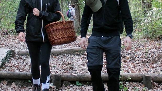 Trekking in quota. Le passeggiate nel bosco e l’enogastromia rappresentano ad oggi due volani per l’economia dela Mugello Trekking in quota. Le passeggiate nel bosco e l’enogastromia rappresentano ad oggi due volani per l’economia dela Mugello