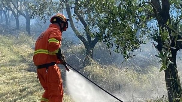 La Vab Colline Medicee ha già iniziato il servizio di pattugliamento per la prevenzione e la repressione degli incendi sul territorio. In via delle Casacce sono intervenute due. squadre con quattro. persone
