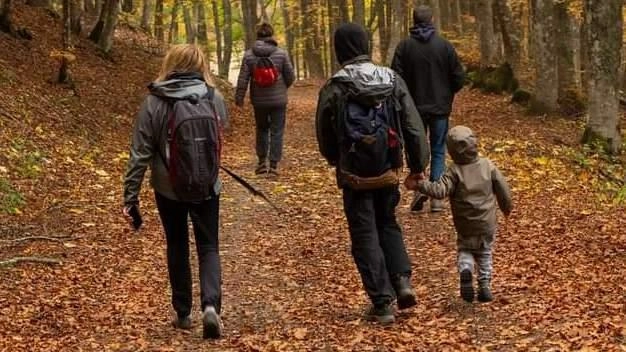 L’itinerario si snoda attraverso i fabbricati di Vespaio e delle Barbe. Sono stati installati nuovi tratti di staccionata e gradini, aggiunti tavolini, panche e posizionata una cartellonistica completa.