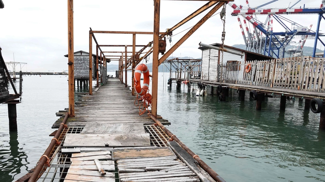 La Marina del Canaletto in uno scatto del settembre dello scorso anno,. L’area sarà utilizzata da Lsct. per realizzare nuove banchine e piazzali La Marina del Canaletto in uno scatto del settembre dello scorso anno,. L’area sarà utilizzata da Lsct. per realizzare nuove banchine e piazzali