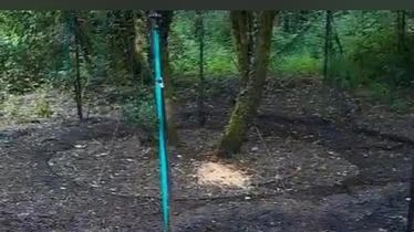 Hanno dato alle fiamme la struttura per la cattura dei cinghiali installata nel terreno di un’azienda agricola di Mulazzo.... Hanno dato alle fiamme la struttura per la cattura dei cinghiali installata nel terreno di un’azienda agricola di Mulazzo....