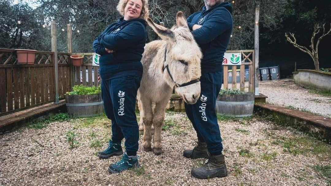 La fattoria didattica Baldo&Riccia, autorizzata dalla Regione Umbria e Asl 1, offre percorsi assistiti con cani, gatti, conigli e asini per la Pet therapy. Professionisti qualificati promuovono il benessere emotivo, sociale e fisico degli utenti, supportando percorsi riabilitativi e terapeutici. Il centro accoglie anche bambini autistici e con ritardo cognitivo. La fattoria didattica Baldo&Riccia, autorizzata dalla Regione Umbria e Asl 1, offre percorsi assistiti con cani, gatti, conigli e asini per la Pet therapy. Professionisti qualificati promuovono il benessere emotivo, sociale e fisico degli utenti, supportando percorsi riabilitativi e terapeutici. Il centro accoglie anche bambini autistici e con ritardo cognitivo.