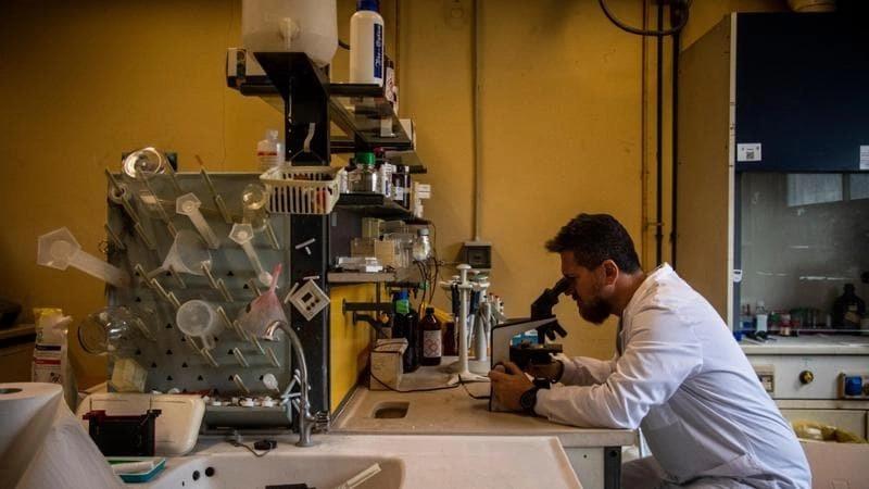 Intelligenza artificiale e chimica si uniscono per nuovi farmaci contro le malattie rare da lanazione.it Intelligenza artificiale e chimica si uniscono per nuovi farmaci contro le malattie rare