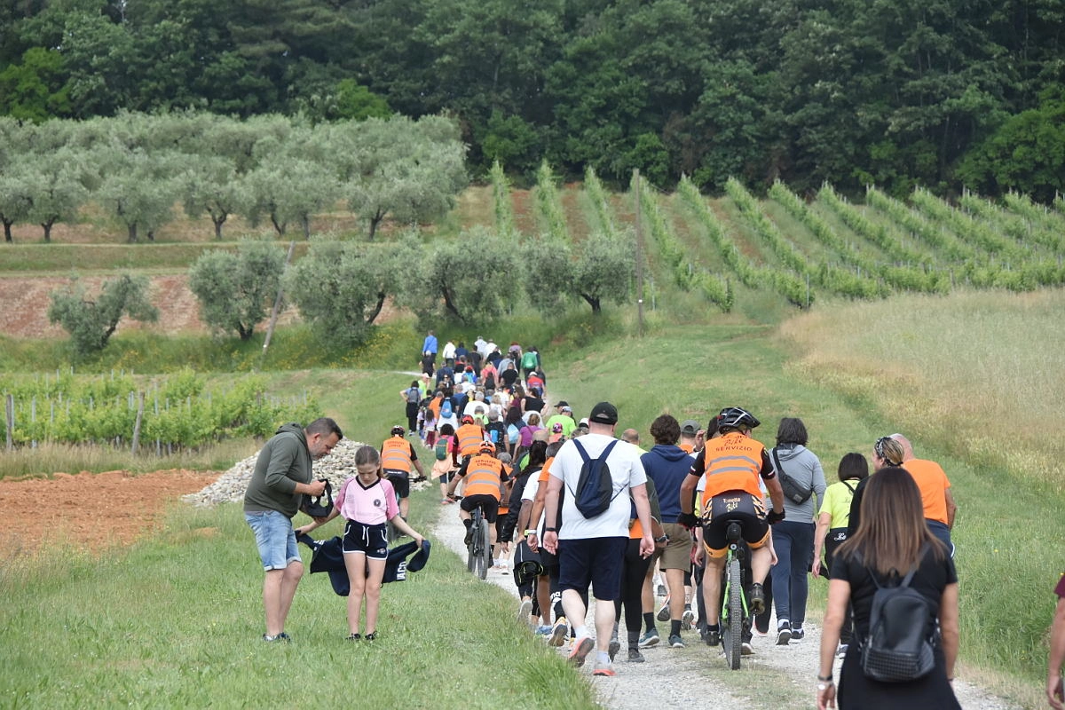 immagine di sfondo 16