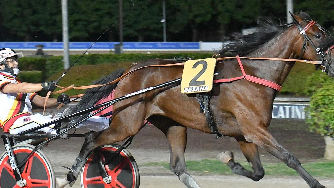 Il Palio di Pescia al Sesana a Montecatini Terme ha registrato un grande successo con oltre mille spettatori. Sette corse, sette vincitori diversi e predominio delle femmine. Gaby Wise As e Dylan Pax tra i protagonisti. La stagione di trotto continua fino all'autunno con quattro riunioni a settembre. Il Palio di Pescia al Sesana a Montecatini Terme ha registrato un grande successo con oltre mille spettatori. Sette corse, sette vincitori diversi e predominio delle femmine. Gaby Wise As e Dylan Pax tra i protagonisti. La stagione di trotto continua fino all'autunno con quattro riunioni a settembre.