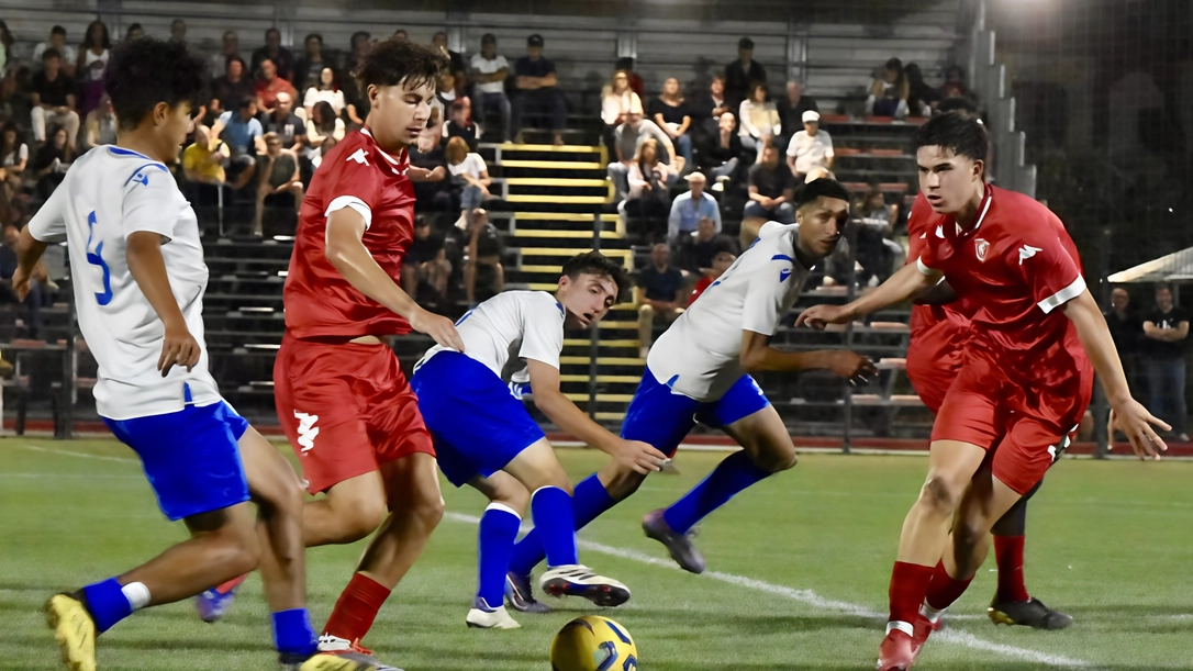Il Sant'Andrea batte il Venturina 3-1 e si posiziona primo nel girone A della Coppa Bruno Passalacqua. Venturina secondo. Il Sant'Andrea batte il Venturina 3-1 e si posiziona primo nel girone A della Coppa Bruno Passalacqua. Venturina secondo.