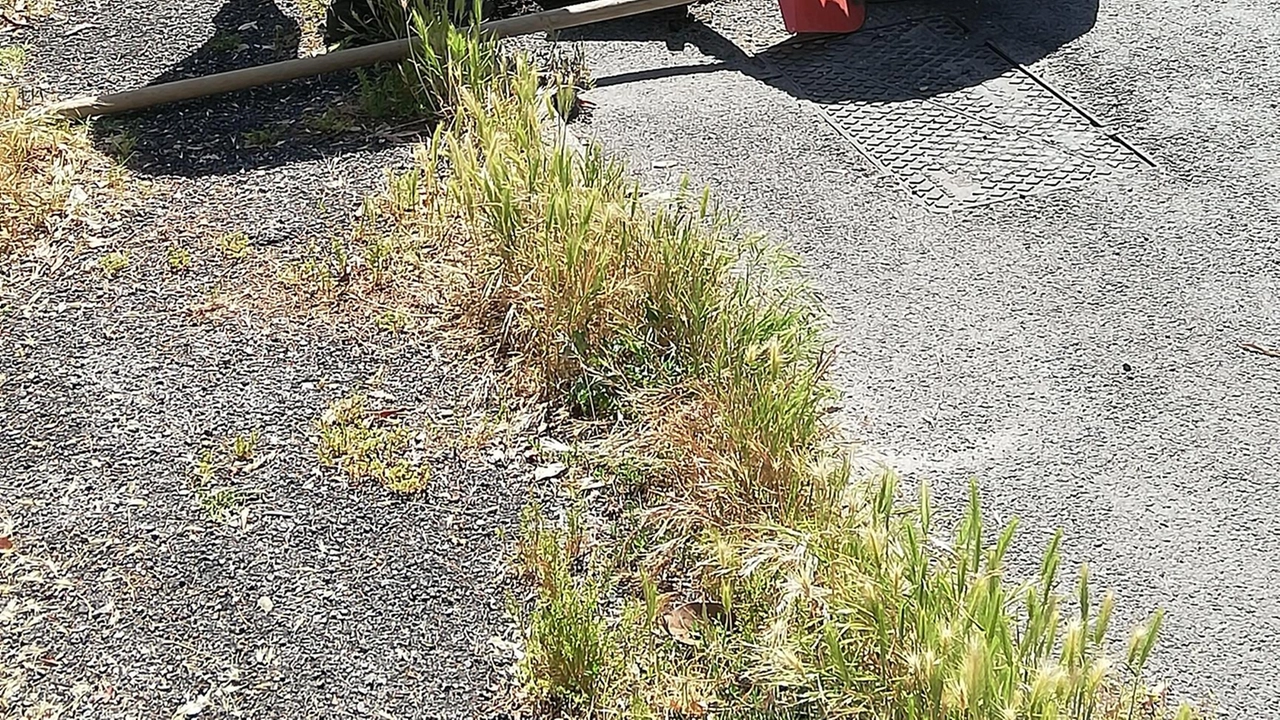 Nell’attesa che il Comune intervenga per la messa in sicurezza dei tombini delle strade della città e delle frazioni,...