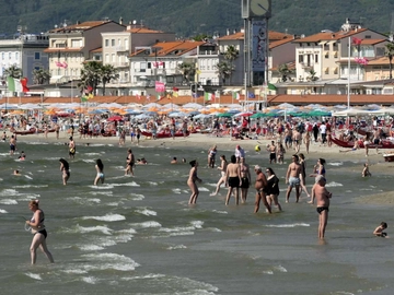 immagine articolo