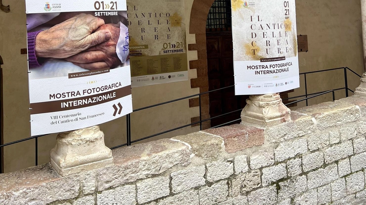 Il Cantico delle Creature diventa una mostra fotografica internazionale che racconta, per immagini lo scritto di Francesco d’Assisi –... Il Cantico delle Creature diventa una mostra fotografica internazionale che racconta, per immagini lo scritto di Francesco d’Assisi –...