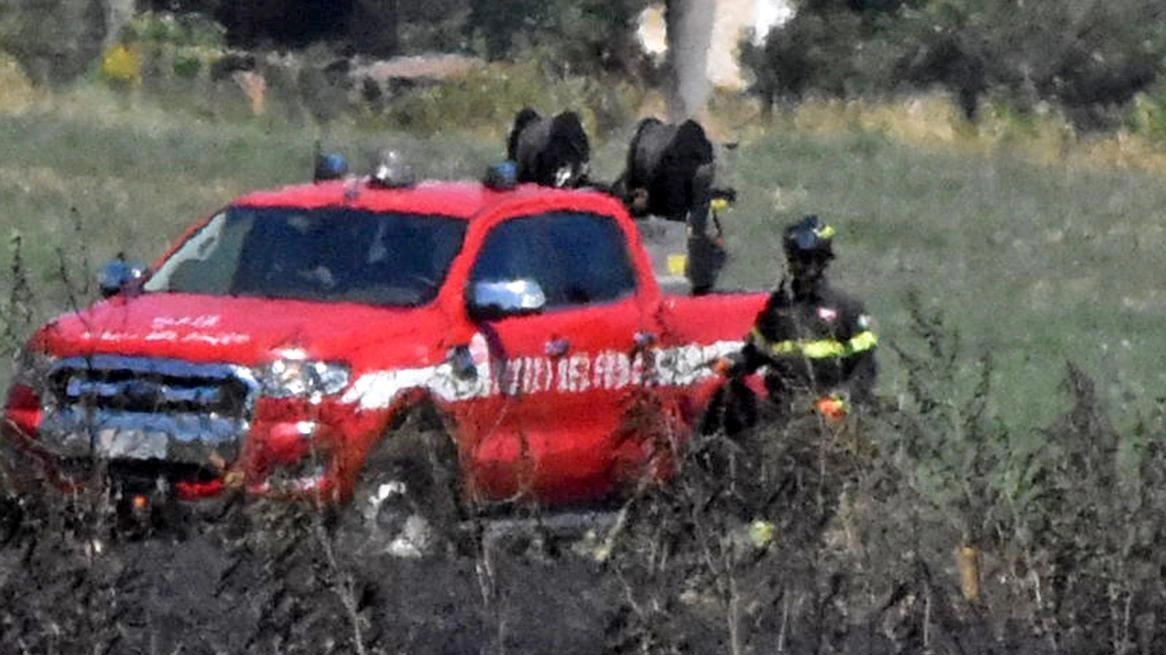 Sono state quattro le squadre dei vigili del fuoco impegnate per gran parte della giornata di ieri alla periferia di... Sono state quattro le squadre dei vigili del fuoco impegnate per gran parte della giornata di ieri alla periferia di...