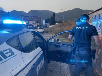immagine articolo