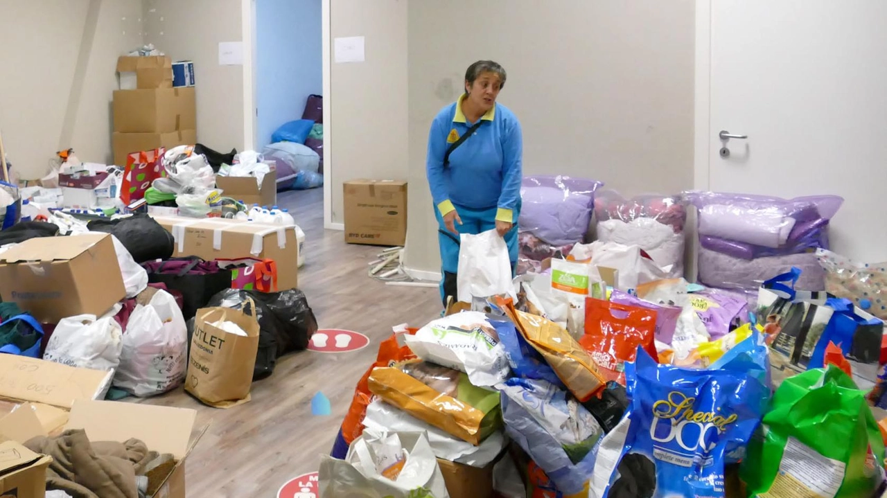 Coperte, detersivi e strumenti per le pulizie tra i beni raccolti Coperte, detersivi e strumenti per le pulizie tra i beni raccolti