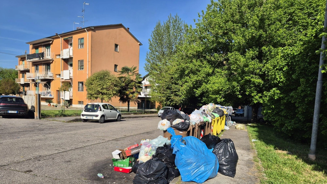 TERNI Multa di 2500 euro a quello che il Comune definisce “trasgressore seriale“ delle norme sul conferimento dei rifiuti. "La...