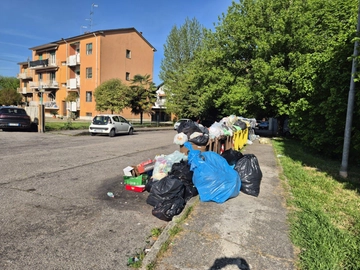 immagine articolo