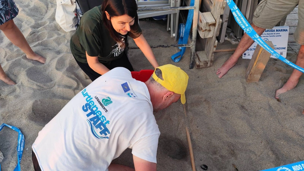 Lo staff di Tartamare transenna il nido di caretta caretta al Big Fish di Tirrenia Lo staff di Tartamare transenna il nido di caretta caretta al Big Fish di Tirrenia