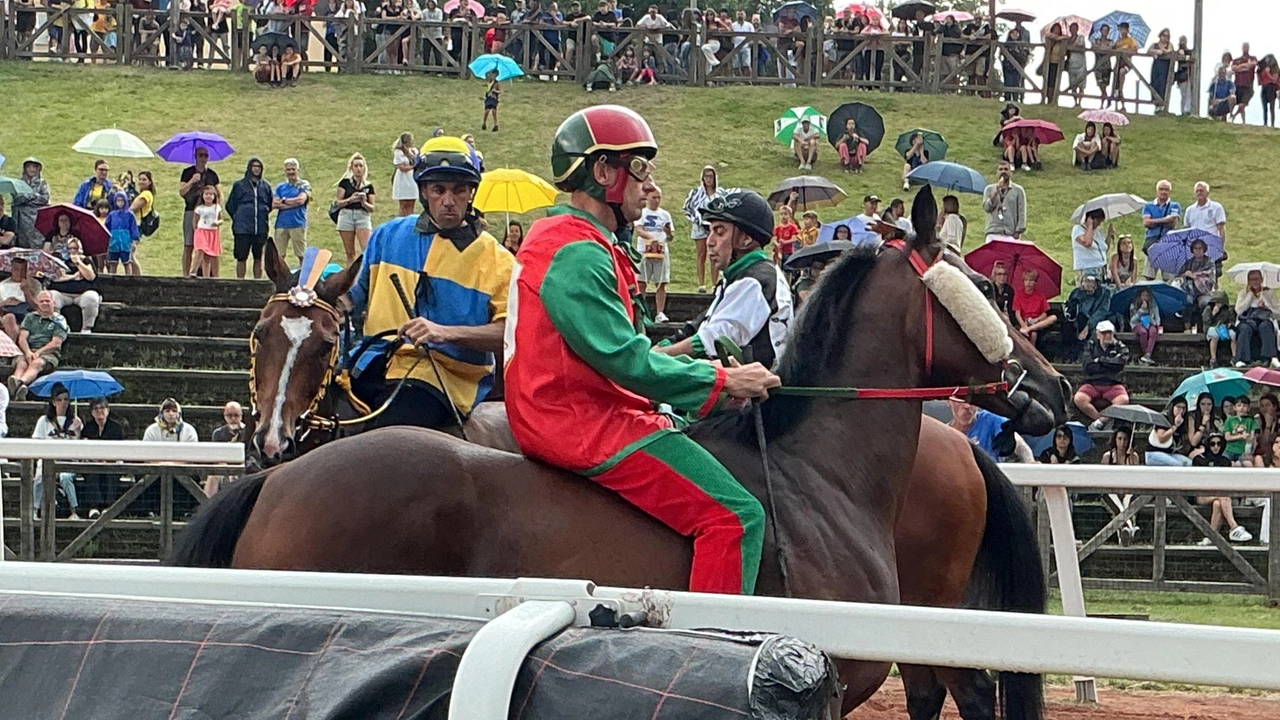 Il fantino Zedde mantiene gli impegni con la contrada di Castello e si presenta in pista. Sgambata su Preziosa prima della pioggia per far prevalere oggi i colori rossoblù. Il fantino Zedde mantiene gli impegni con la contrada di Castello e si presenta in pista. Sgambata su Preziosa prima della pioggia per far prevalere oggi i colori rossoblù.