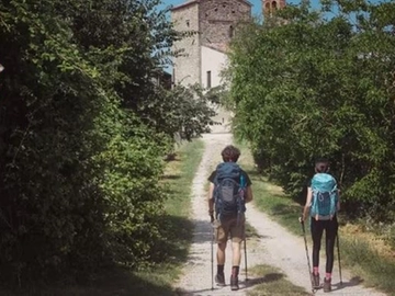 immagine articolo