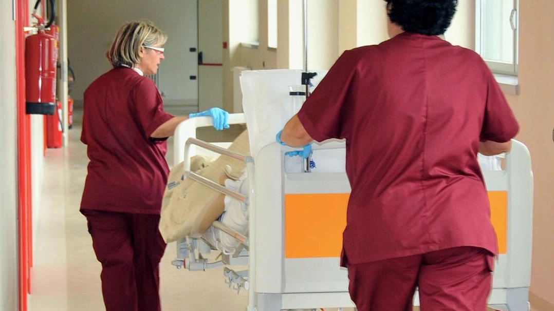 Rosa Maranto (Toscana Nord ovest): "Un vero problema per la salute pubblica" Rosa Maranto (Toscana Nord ovest): "Un vero problema per la salute pubblica"