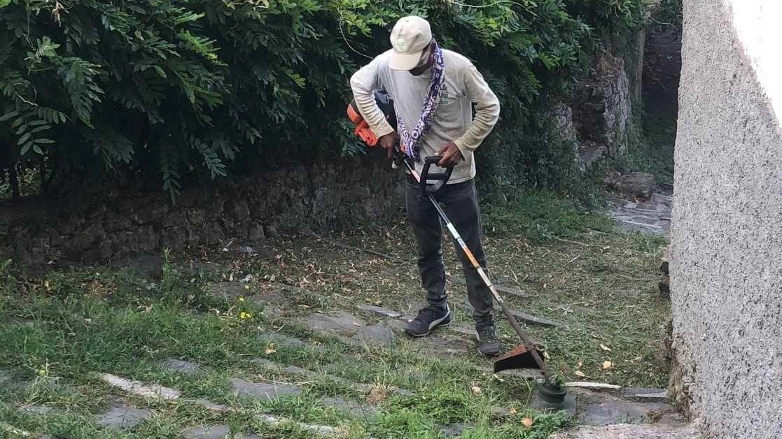I volontari hanno tagliato l’erba e ripristinato alcune vie del centro storico di Bagnoli con ottimi risultati finali I volontari hanno tagliato l’erba e ripristinato alcune vie del centro storico di Bagnoli con ottimi risultati finali