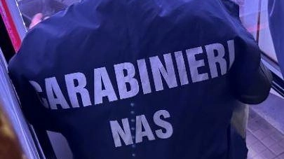 Le indagini sulla casa di riposo sono state eseguite dai carabinieri di Montefiascone e dai colleghi del. Nas di Viterbo Le indagini sulla casa di riposo sono state eseguite dai carabinieri di Montefiascone e dai colleghi del. Nas di Viterbo