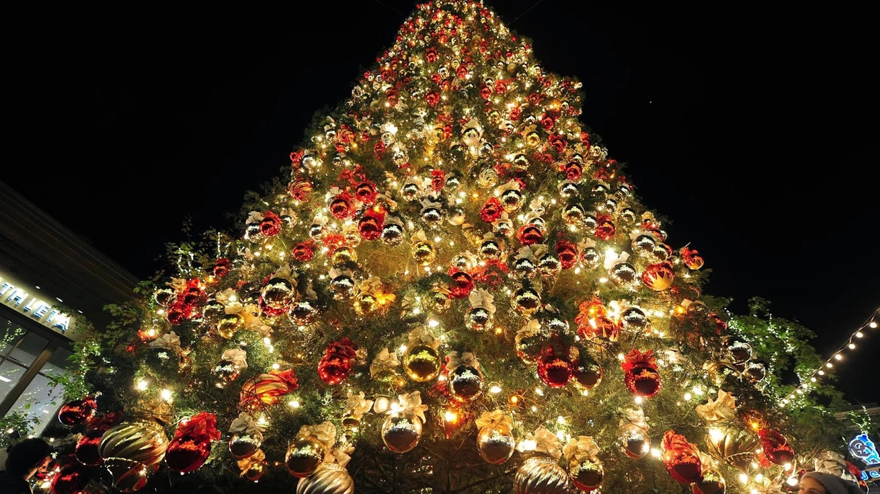 natale natale