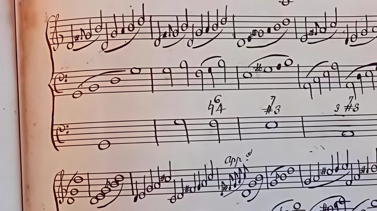 Sabato a Lucca verrà presentata l'edizione in facsimile di "The art of playing on the violin" di Francesco Geminiani, curata da Enrico Careri per Lim. Il manoscritto del 1751, acquisito nel 2007 dal Centro studi Luigi Boccherini, rivela nuove scoperte sulla sua origine. Sabato a Lucca verrà presentata l'edizione in facsimile di "The art of playing on the violin" di Francesco Geminiani, curata da Enrico Careri per Lim. Il manoscritto del 1751, acquisito nel 2007 dal Centro studi Luigi Boccherini, rivela nuove scoperte sulla sua origine.