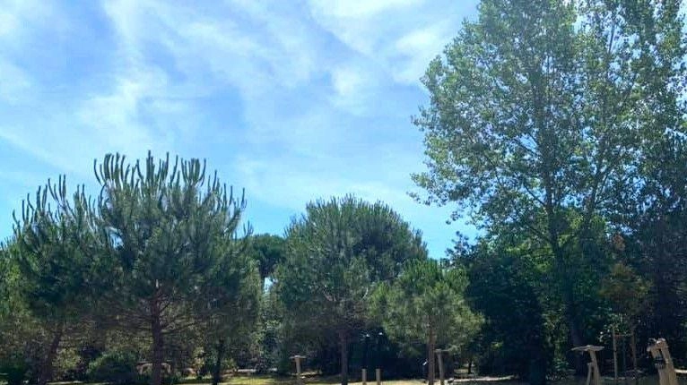 Consegnati in questi giorni i lavori per la riqualificazione del Parco Radici Mediterranee a Vittoria Apuana Consegnati in questi giorni i lavori per la riqualificazione del Parco Radici Mediterranee a Vittoria Apuana