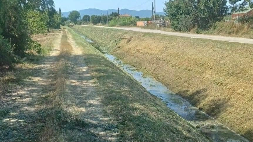 Il Consorzio di Bonifica 6 Toscana Sud ha eseguito un intervento di manutenzione ordinaria con la rimozione della vegetazione... Il Consorzio di Bonifica 6 Toscana Sud ha eseguito un intervento di manutenzione ordinaria con la rimozione della vegetazione...