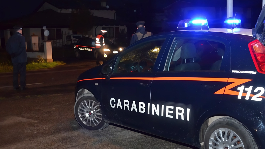 L'indagine condotta dai carabinieri